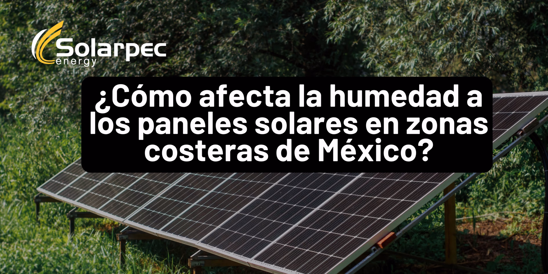 ¿Cómo afecta la humedad a los paneles solares en zonas costeras de México?