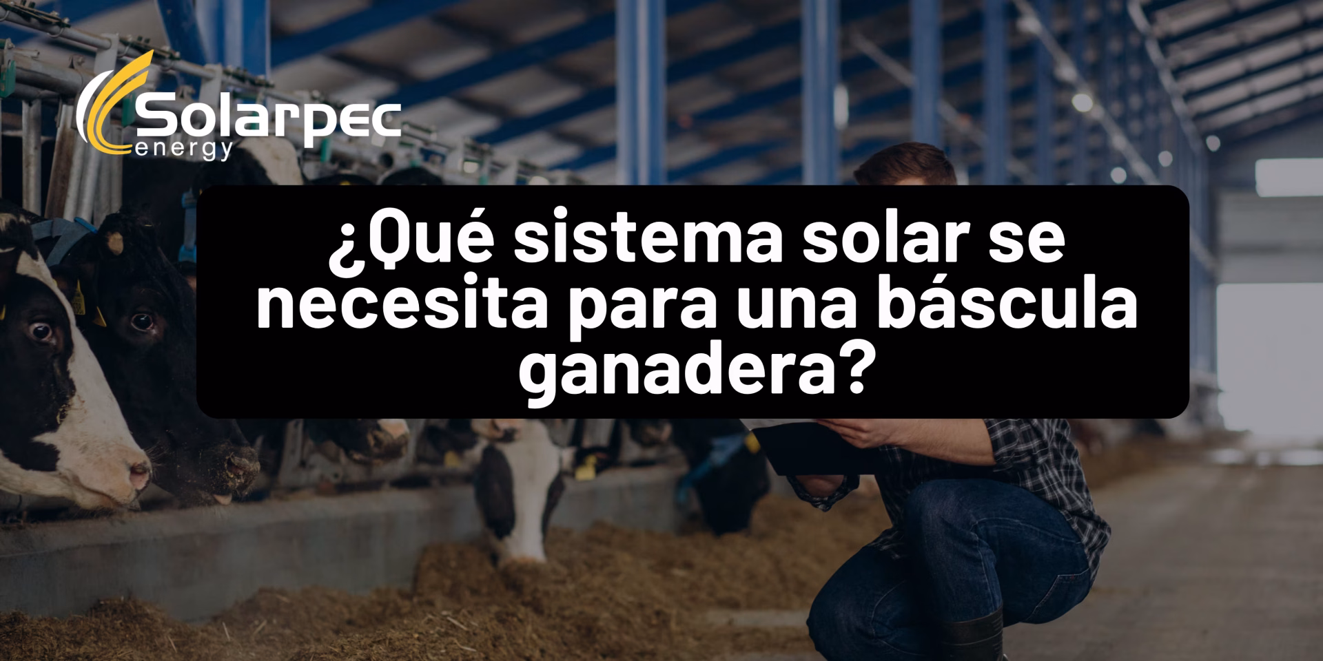 ¿Qué sistema solar se necesita para una báscula ganadera?