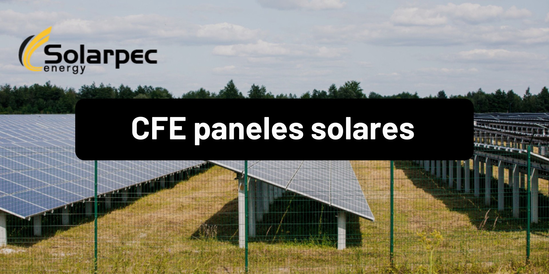 CFE paneles solares