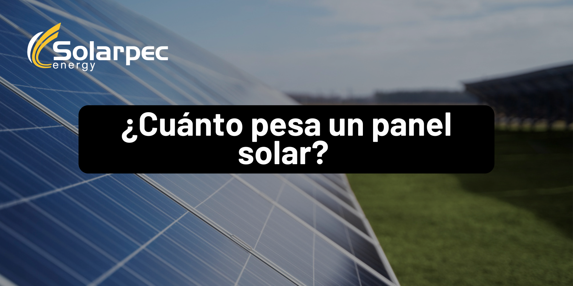 ¿Cuánto pesa un panel solar?