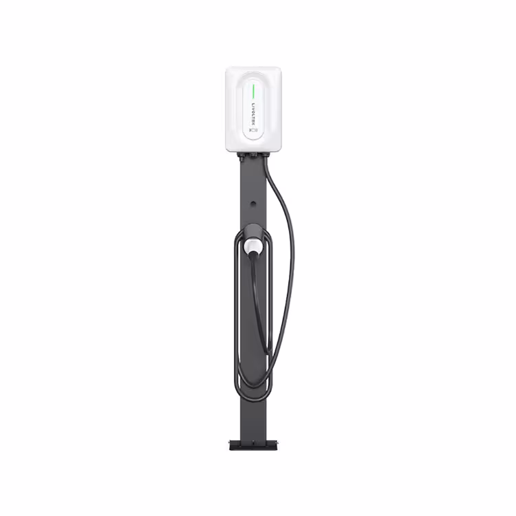 Cargador VE LIVOLTEK Bifasico A0070230E11 7.3kW 220VAC
