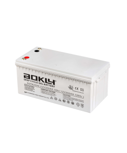 Batería GEL Monoblock AOKLY 6GFM200G 12V 250AH - Imagen 2