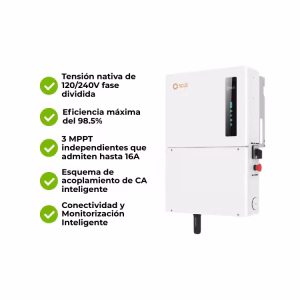 Producto 380 - Imagen 5