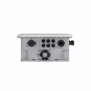 Producto 664 - Imagen 3